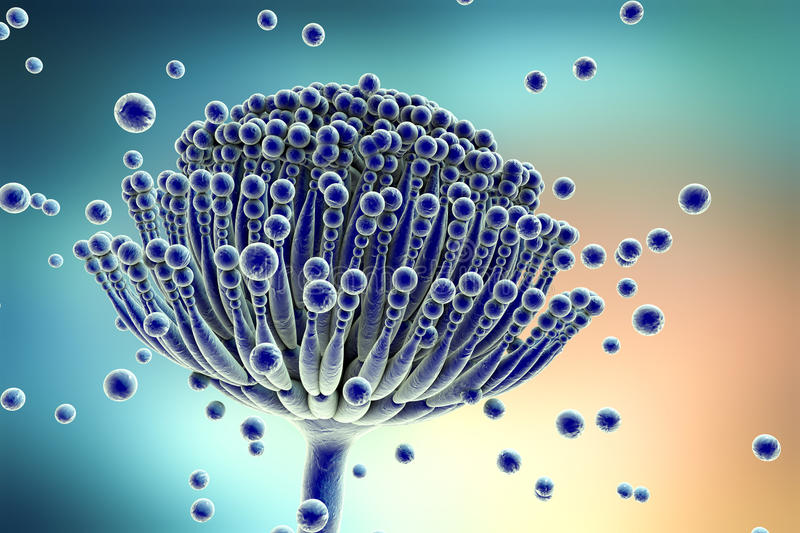 木质材料及家具加工生产过程中如何防霉?